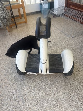 Ninebot