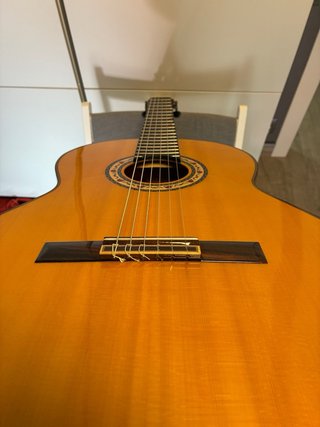 Guitarra Francisco Bros Burlería Especial