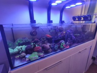 Acuario de cristal