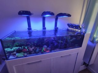Acuario de cristal