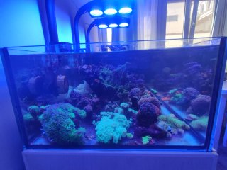 Acuario de cristal