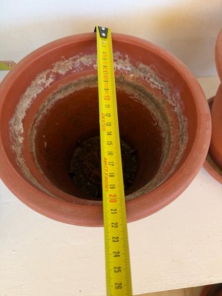 Lote de macetas marrones