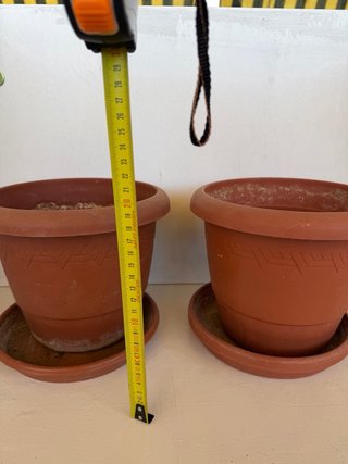 Lote de macetas marrones