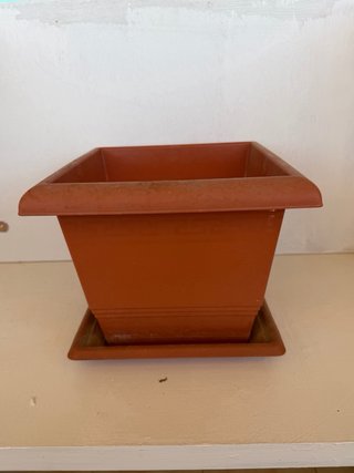 Lote de macetas marrones