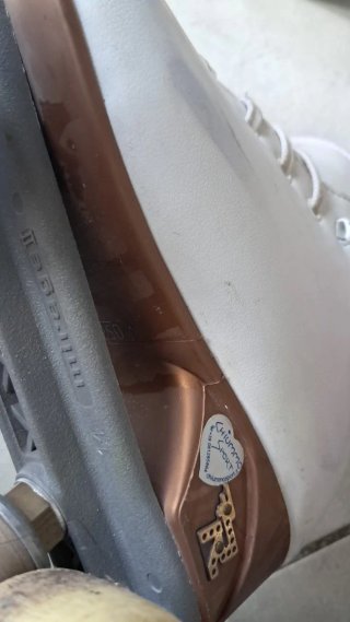 Pattini Risport Professionali Tg 37,5