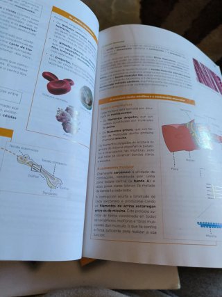 Libro 1° de Bachillerato, bioloxia. Anaya