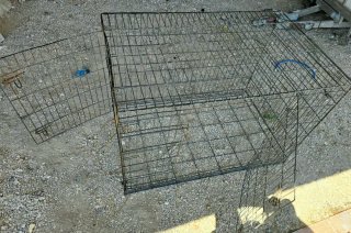 Jaula para animales