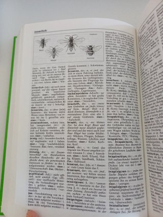 Duden Vol 10. Bedeutungswörterbuch