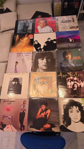 Lote Vinilos de todo un poco