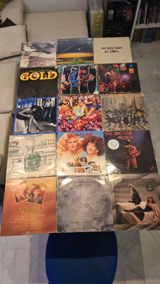 Lote de vinilos variados