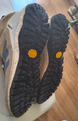 Zapatillas Adidas Skychaser Terrex GTX (Talla 44)