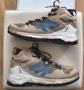 Zapatillas Adidas Skychaser Terrex GTX (Talla 44)
