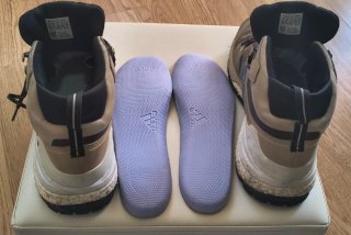 Zapatillas Adidas Skychaser Terrex GTX (Talla 44)