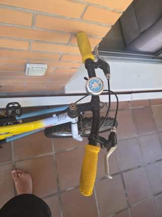 Bicicleta infantil 5-10 años