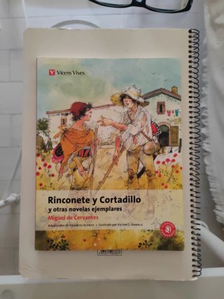 Rinconete y Cortadillo y otras novelas ejemplar...
