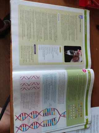 Lengua y literatura, biolofia y geología