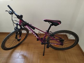 Bicicleta de Montaña Morada