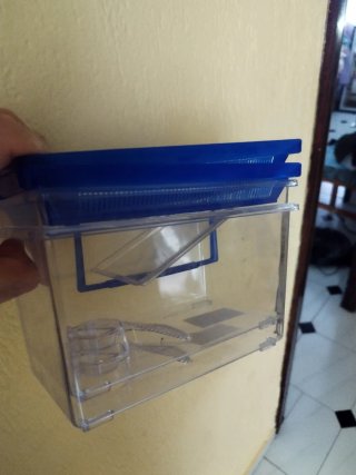 2 Tortugueras Pequeñas