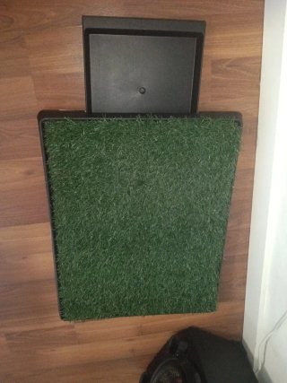 Alfombra Césped Artificial para Mascotas