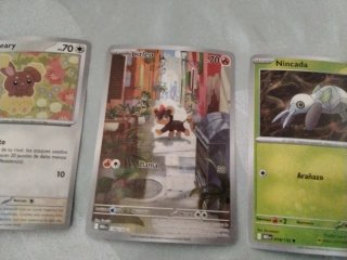 Cartas Pokémon Tinkatink, Buneary, Litico, Nincada