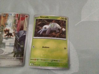 Cartas Pokémon Tinkatink, Buneary, Litico, Nincada