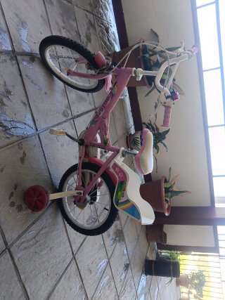Bicicleta Niña Rosa