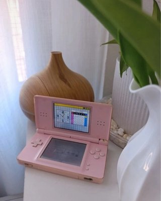 Nintendo DS Rosa