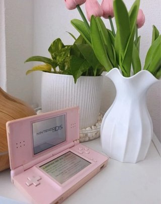 Nintendo DS Rosa