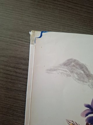 Lengua castellana y literatura 1o ESO