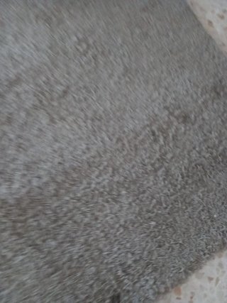 Alfombra Ikea Gris Poliéster