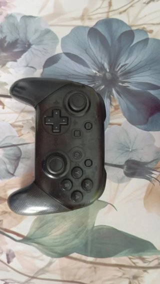 Mando Nintendo Switch Pro