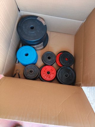 Mancuernas ajustables con discos
