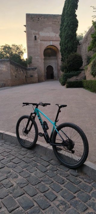 Trek Marlin 5 Gen 3 2026