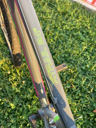 Bicicleta Junior 24”