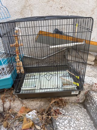 Jaula para periquitos, agapornis, loros