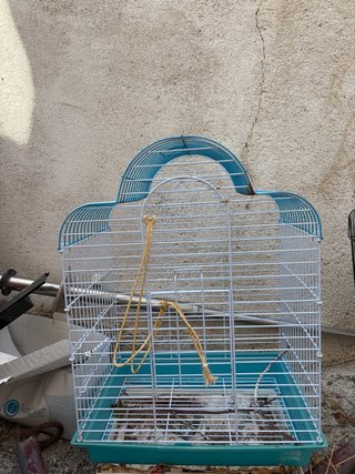 Jaula para periquitos, agapornis, loros