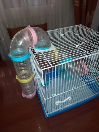 JAULA PARA HAMSTER Y RATONES