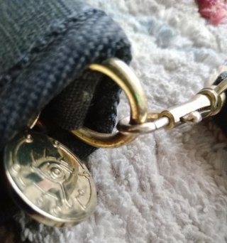 Custodia Zelda Nintendo Switch 1
