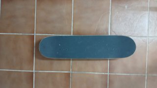 Skate Oxelo Lobo