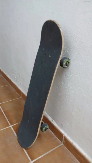 Skate Oxelo Lobo