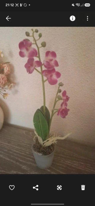 Orquídea Artificial Rosa y Verde, 30 cmts.