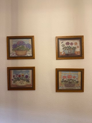 Pack 4 cuadros florales marcos madera