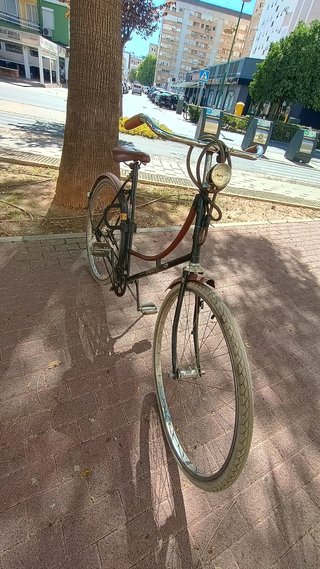 Bicicleta Holandesa Vintage Auténtica