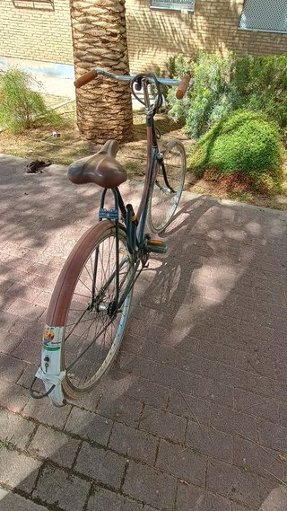 Bicicleta Holandesa Vintage Auténtica