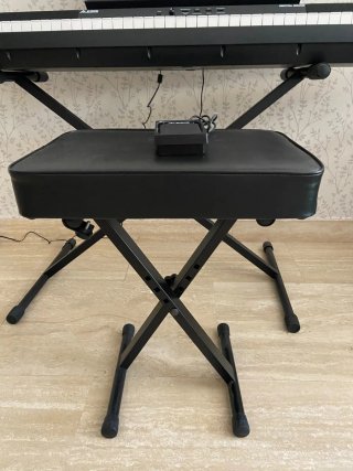 Piano Eléctrico Alesis Recital Grand