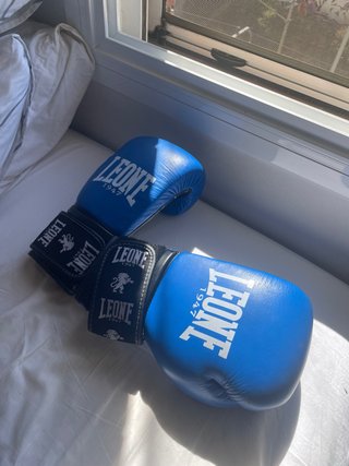 Guantes de Boxeo Leone 14oz Azul