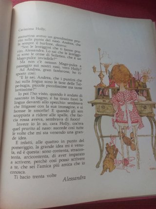 Libro Tutti gli amici di Holly Hobbie
