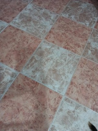 Se realiza trabajo en baños y tabiqueria en Pladur