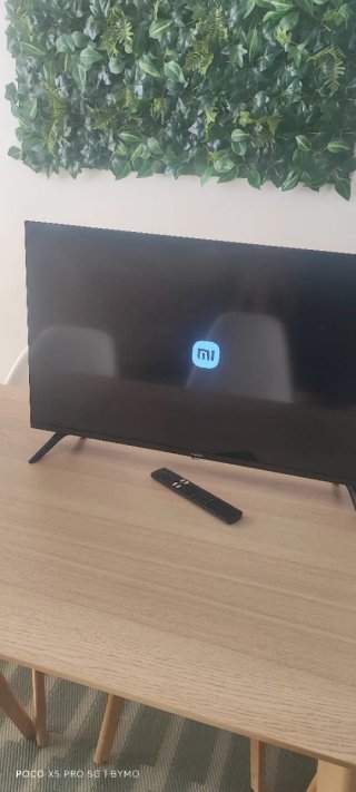 Xiaomi TV 32 Smart TV Google TV