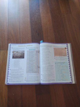 Lengua castellana y literatura 2o ESO